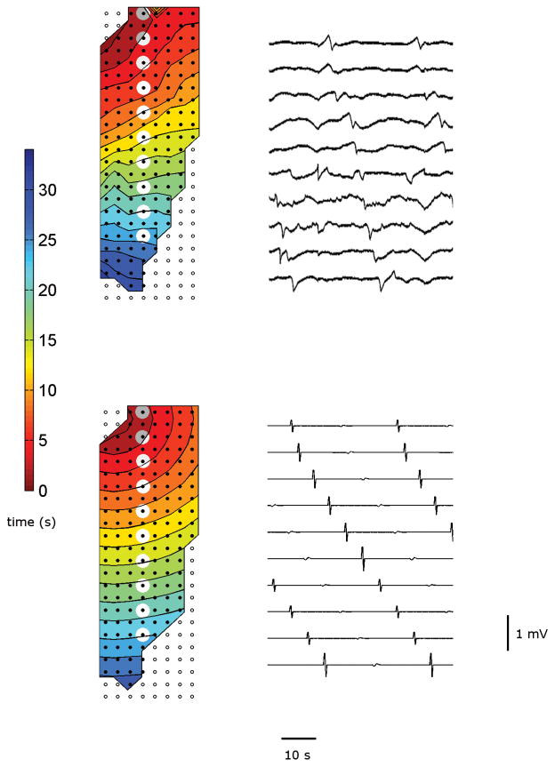 Fig. 3