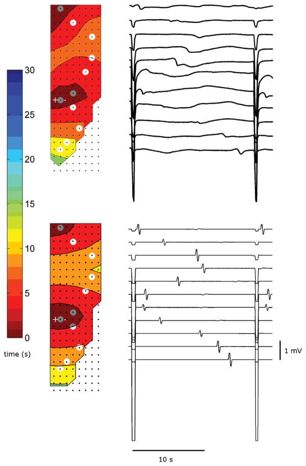 Fig. 4