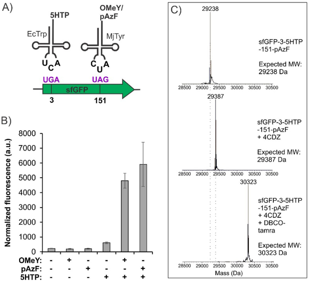 Figure 4.