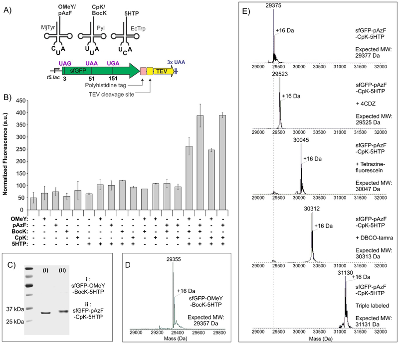 Figure 6.