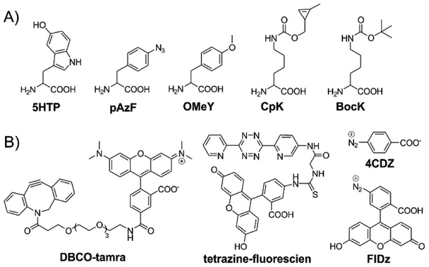 Figure 1: