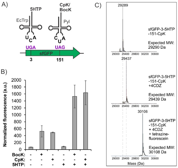 Figure 3.