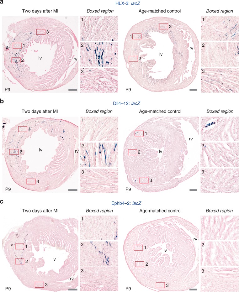 Fig. 9