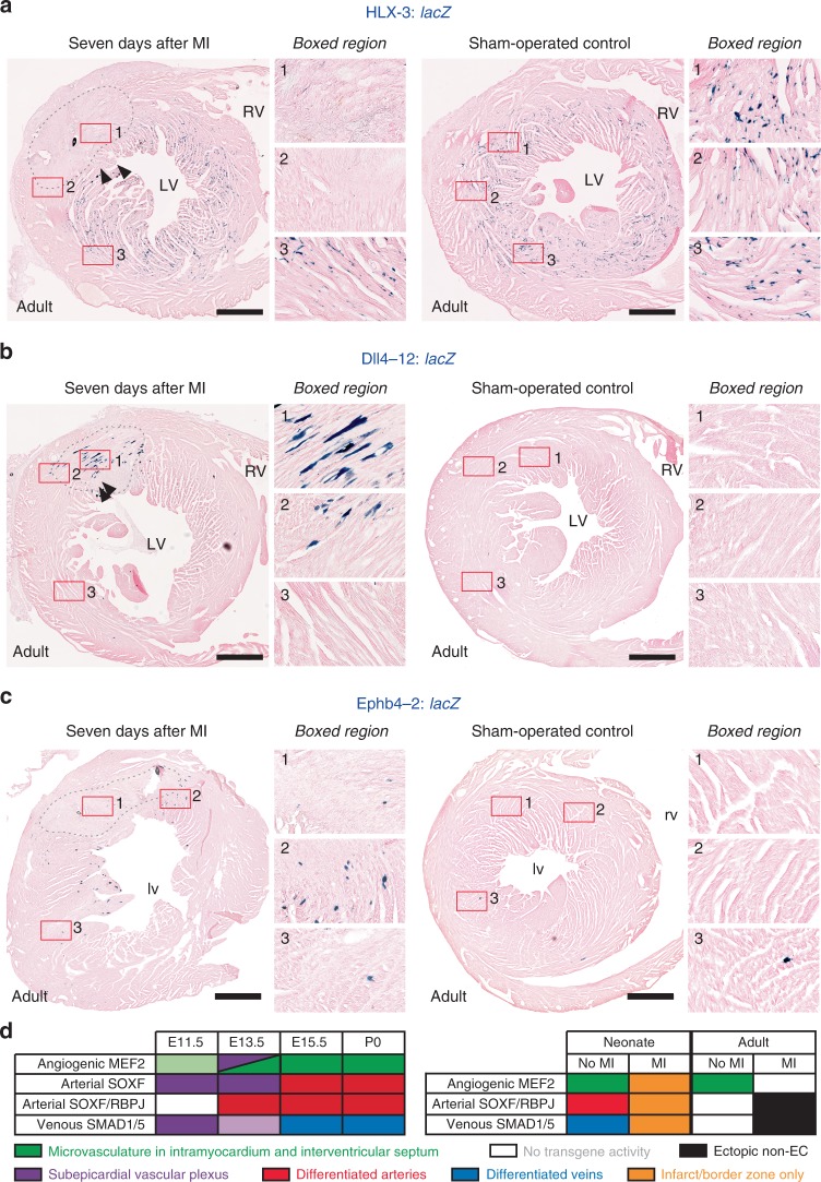 Fig. 10