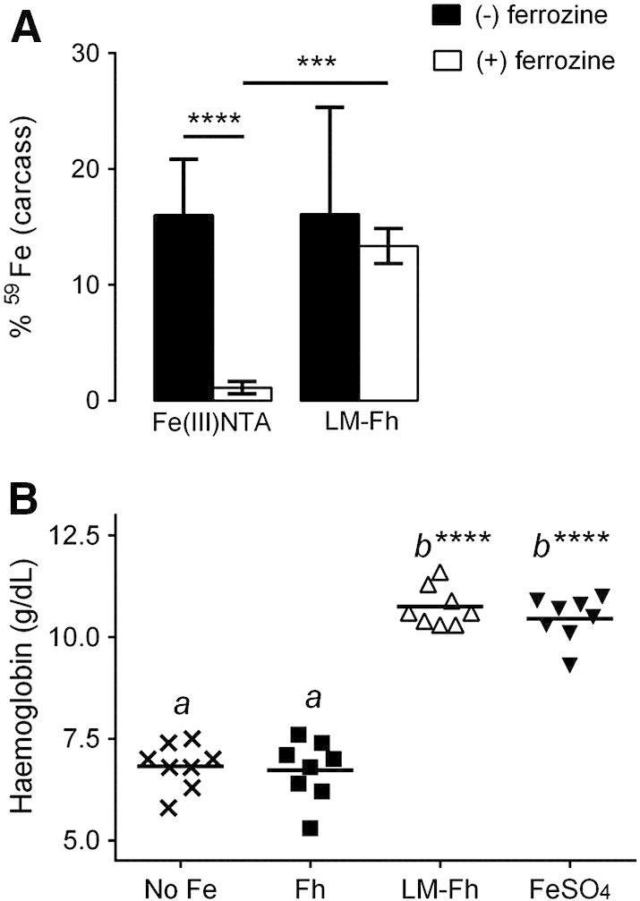 Figure 5