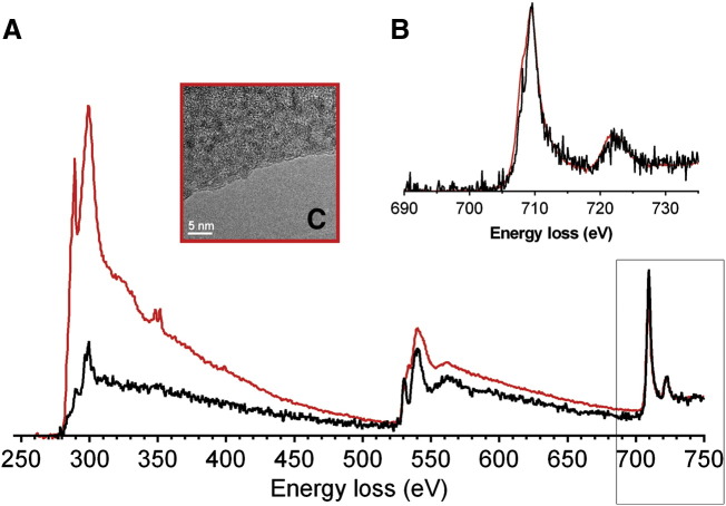 Fig. S3