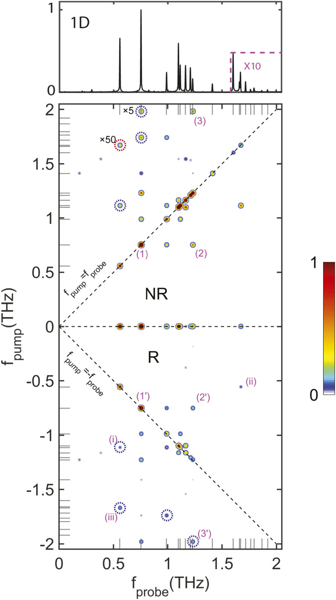 Fig. 5.