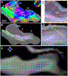 Fig. 7.