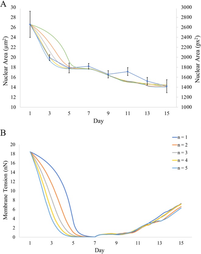 Figure 7