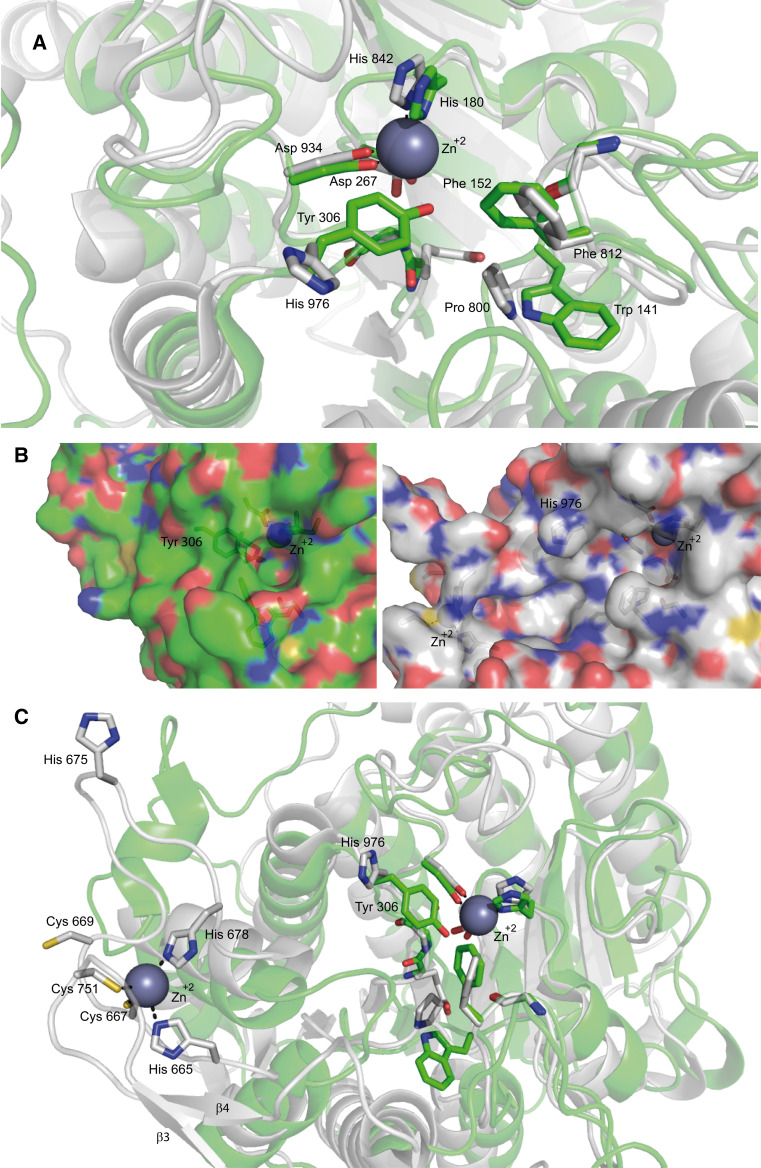 Fig. 2