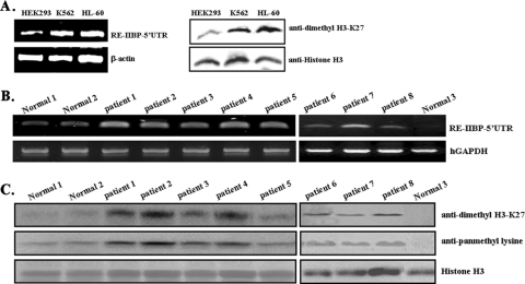 FIG. 6.