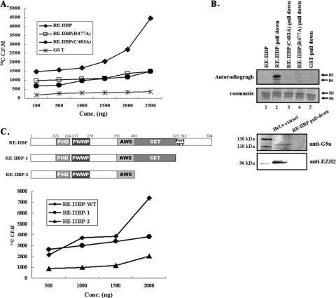 FIG. 2.