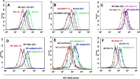 FIGURE 10.