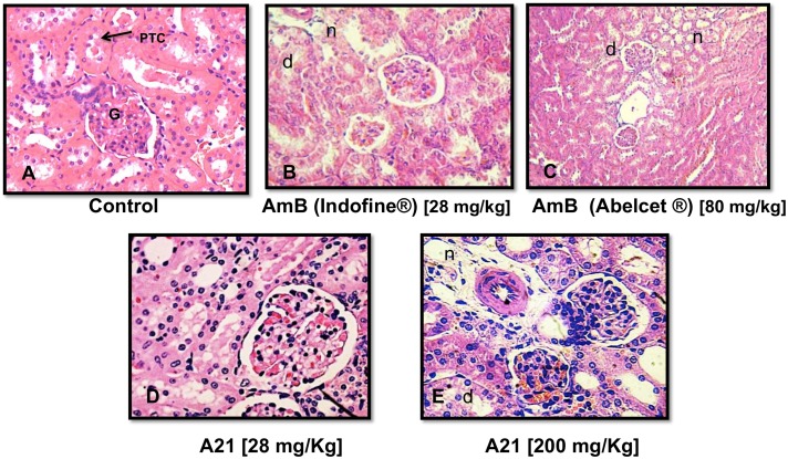 Fig 13