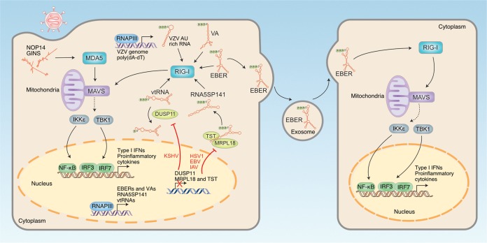 FIG 1