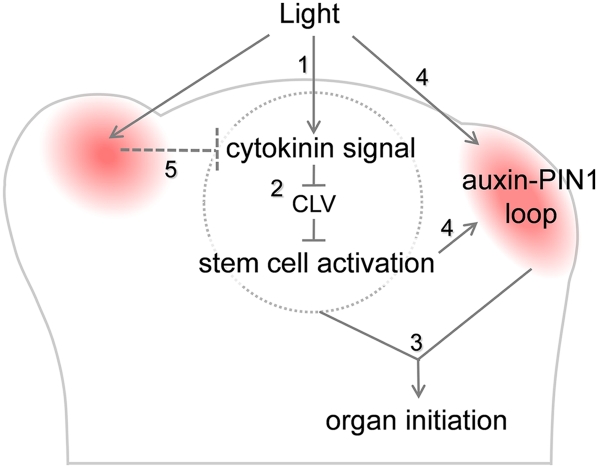 Figure 6.