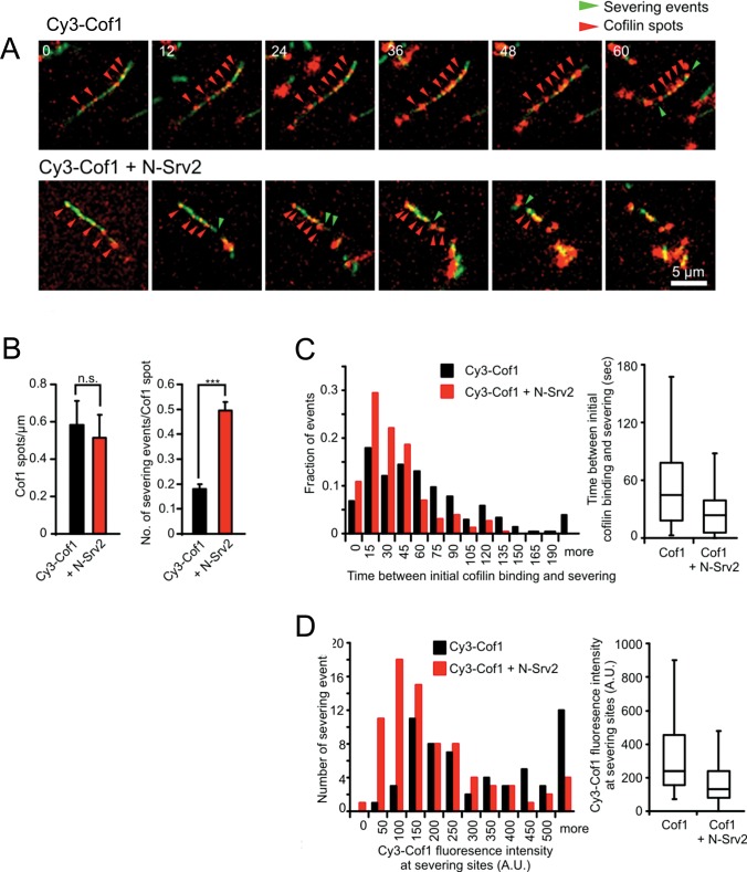 FIGURE 3: