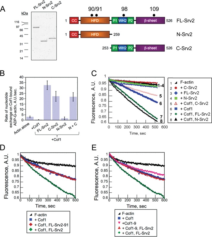 FIGURE 1: