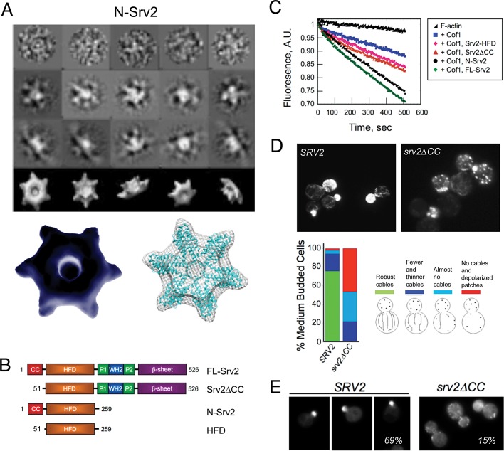 FIGURE 4: