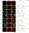 FIG. 3.