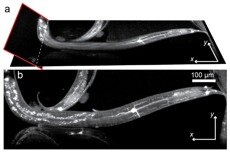 Fig. 3