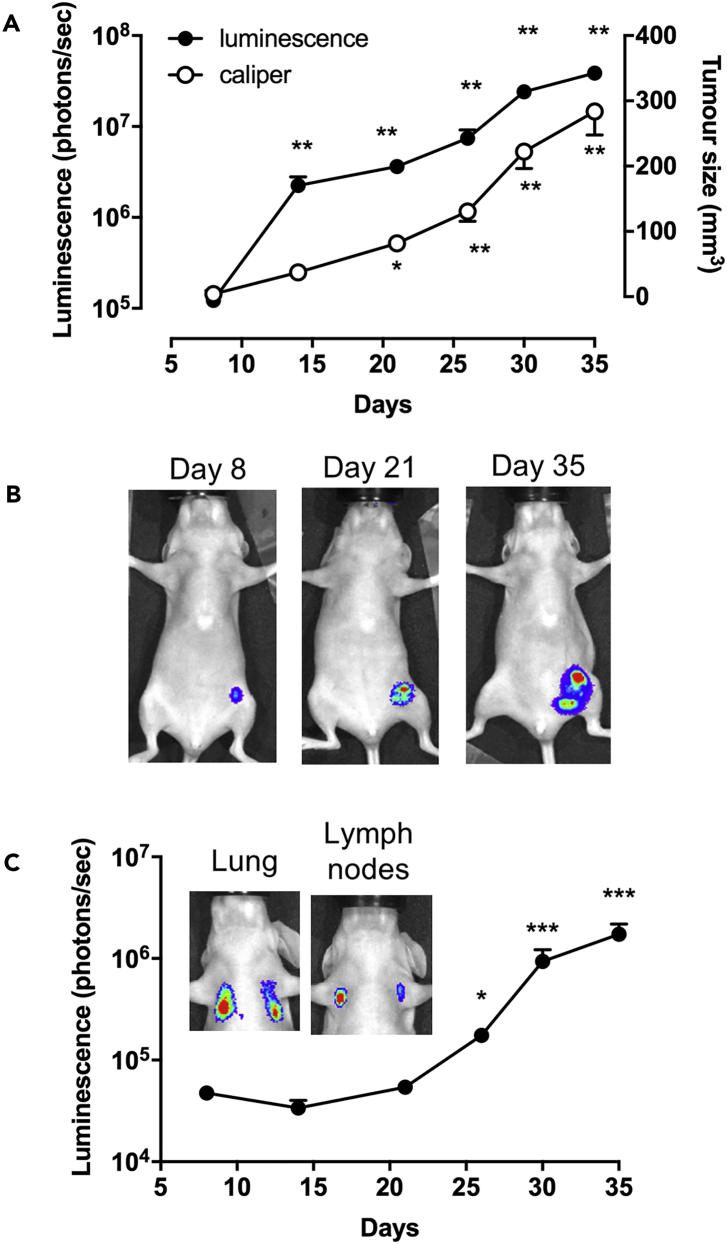 Figure 3