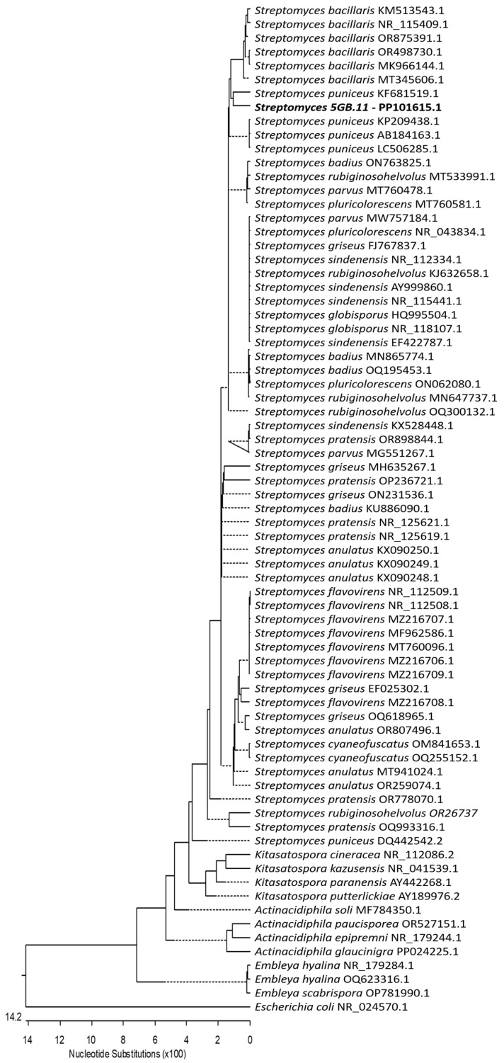 Figure 2