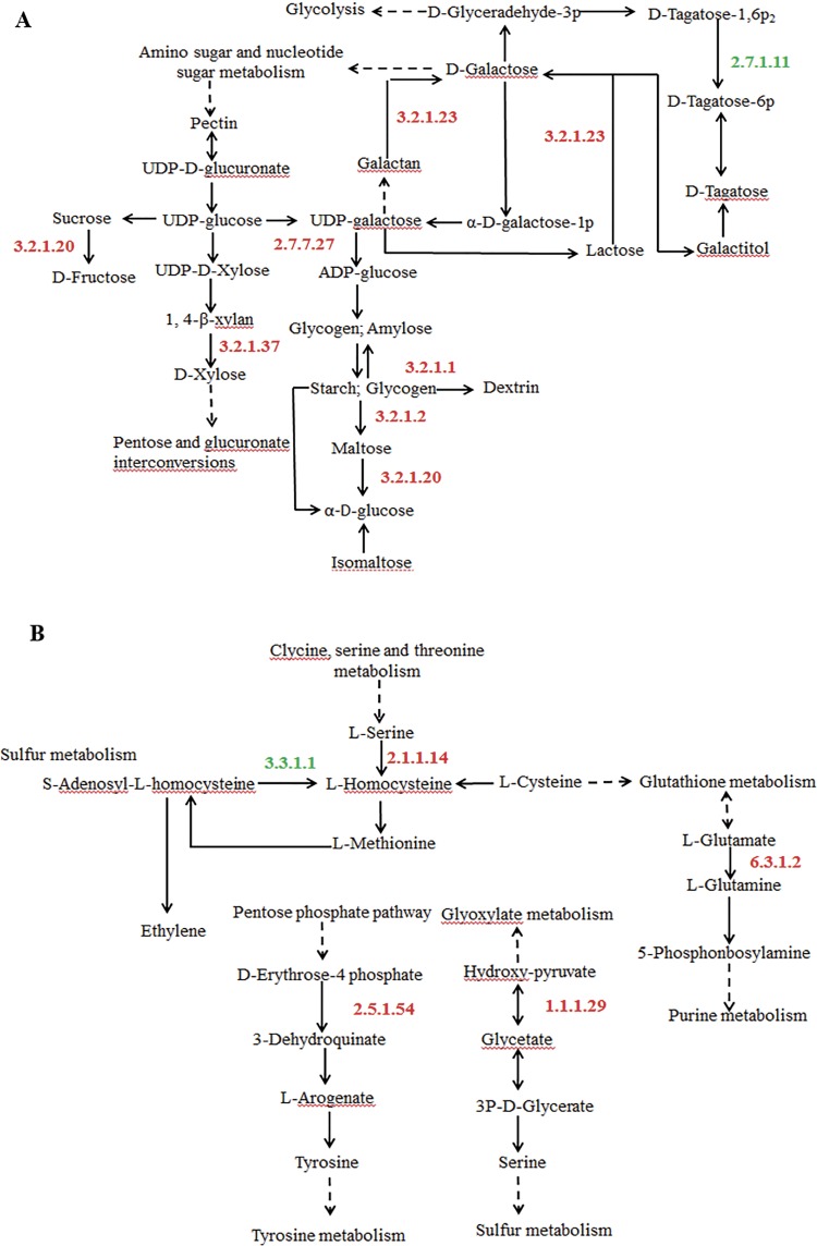 Fig 6