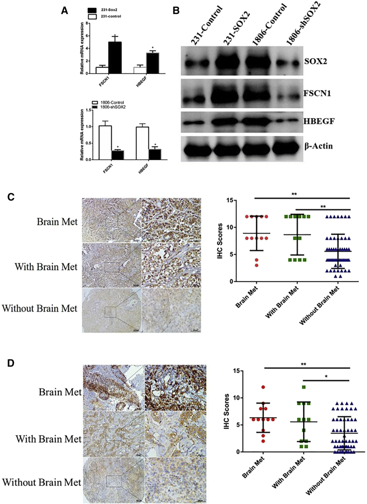 Figure 6