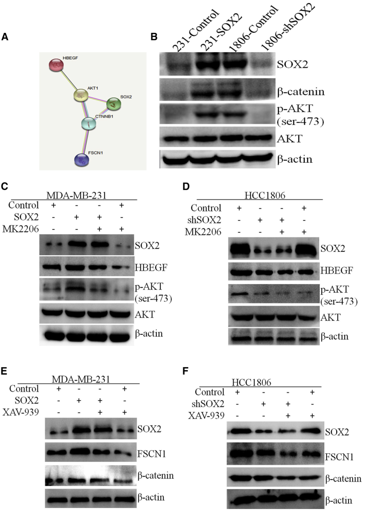 Figure 7