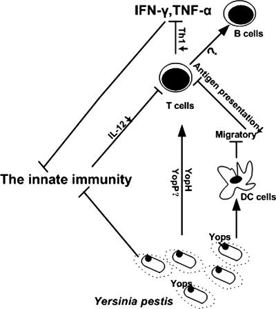 FIG. 2.