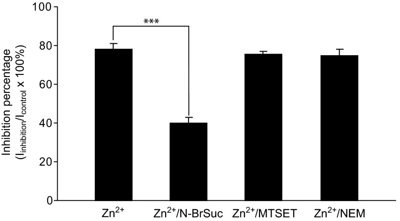 FIG. 5.