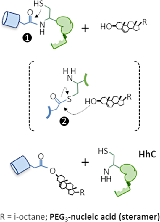 Figure 1.