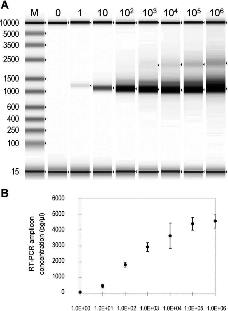 FIG 1