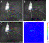 Figure 4: