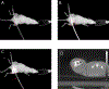 Figure 5: