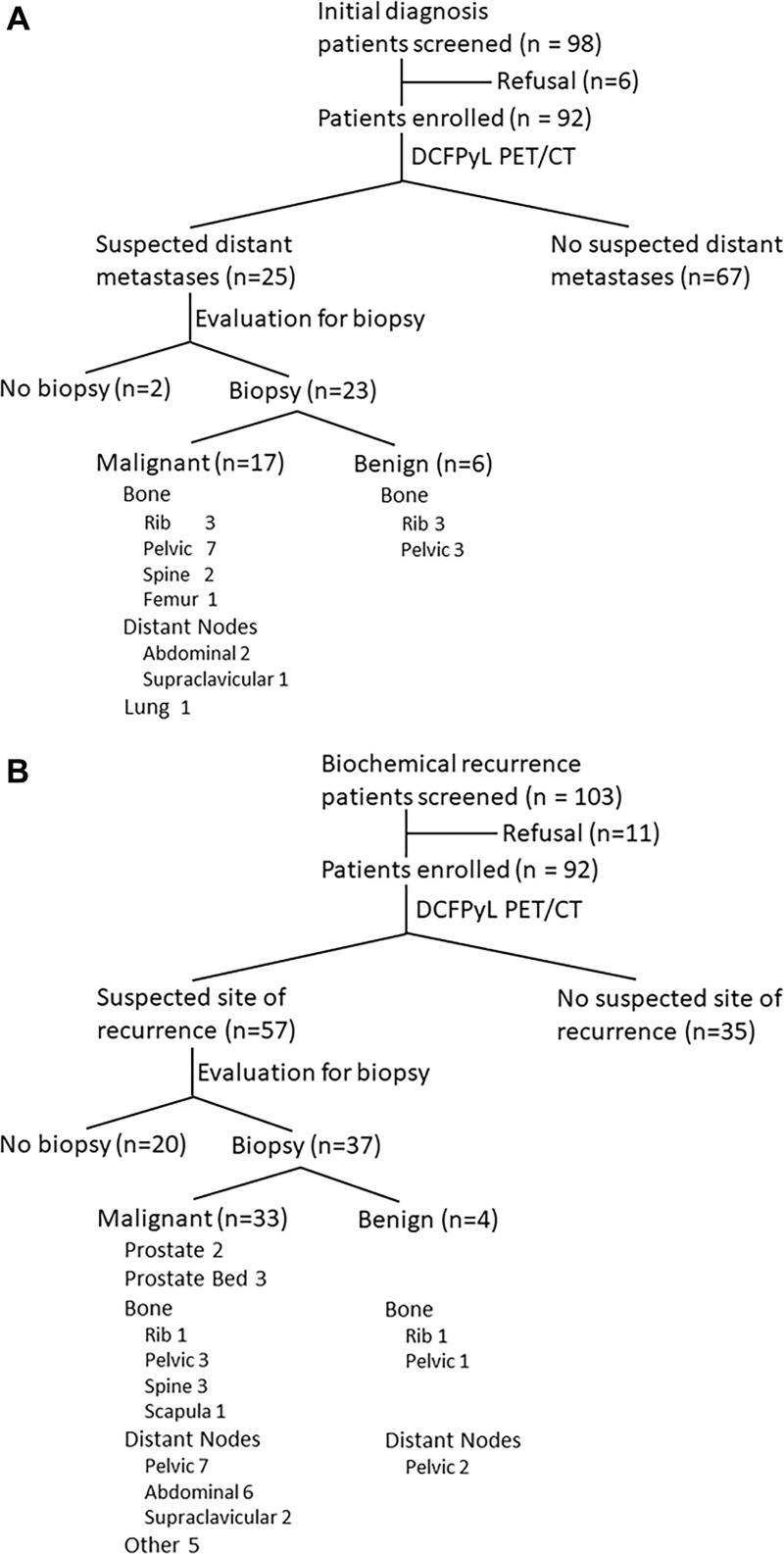 (A) Standards for Reporting of Diagnostic Accuracy, or STARD, diagram of sample 1, men with newly diagnosed high-risk prostate cancer. (B) Standards for Reporting of Diagnostic Accuracy diagram of sample 2, men with biochemically recurrent prostate cancer. DCFPyL = 2-(3-{1-carboxy-5-[(6-[(18)F]fluoro-pyridine-3-carbonyl)-amino]-pentyl}-ureido)-pentanedioic acid.