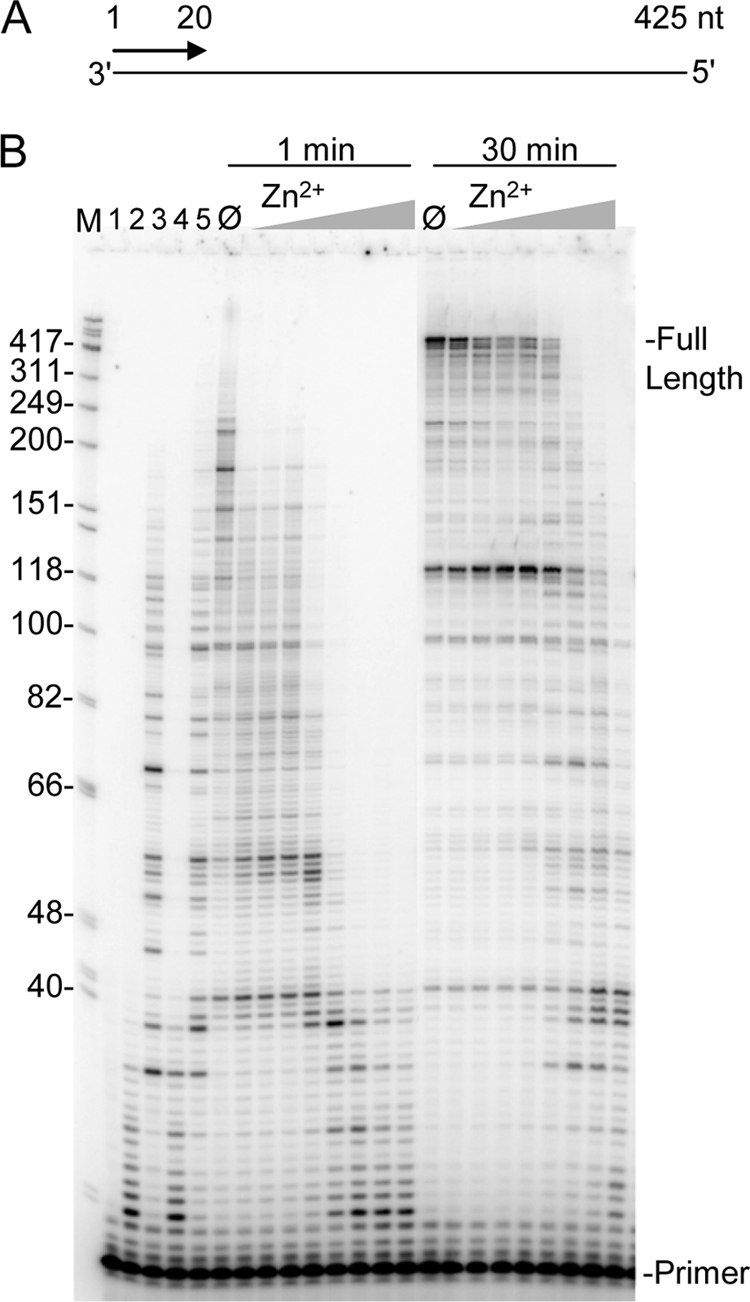 FIGURE 1.