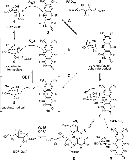 FIGURE 1.