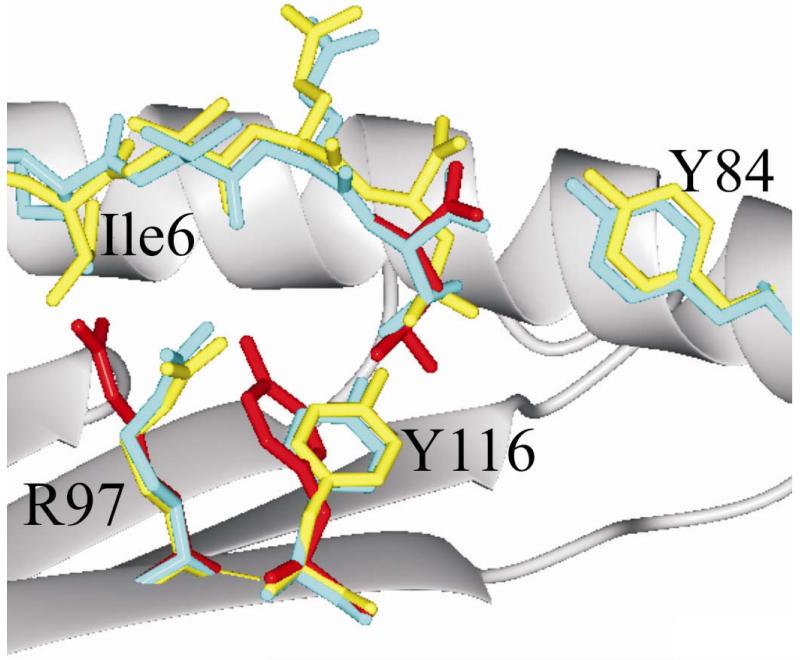 FIGURE 3