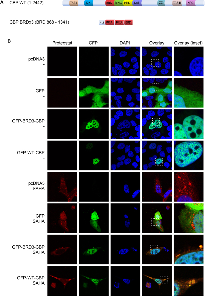 Figure 3