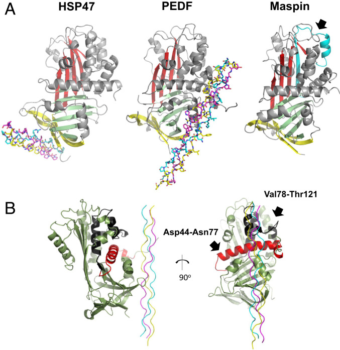 Fig. 4.