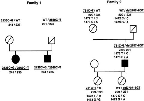 Figure  2