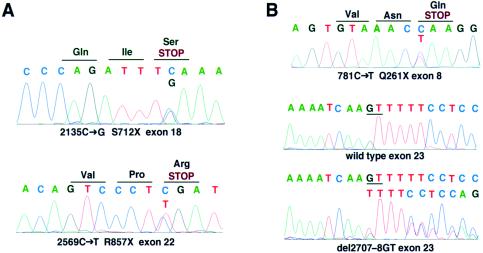 Figure  1