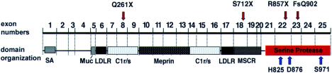 Figure  3