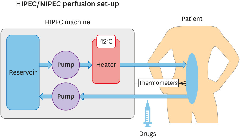 Fig. 2