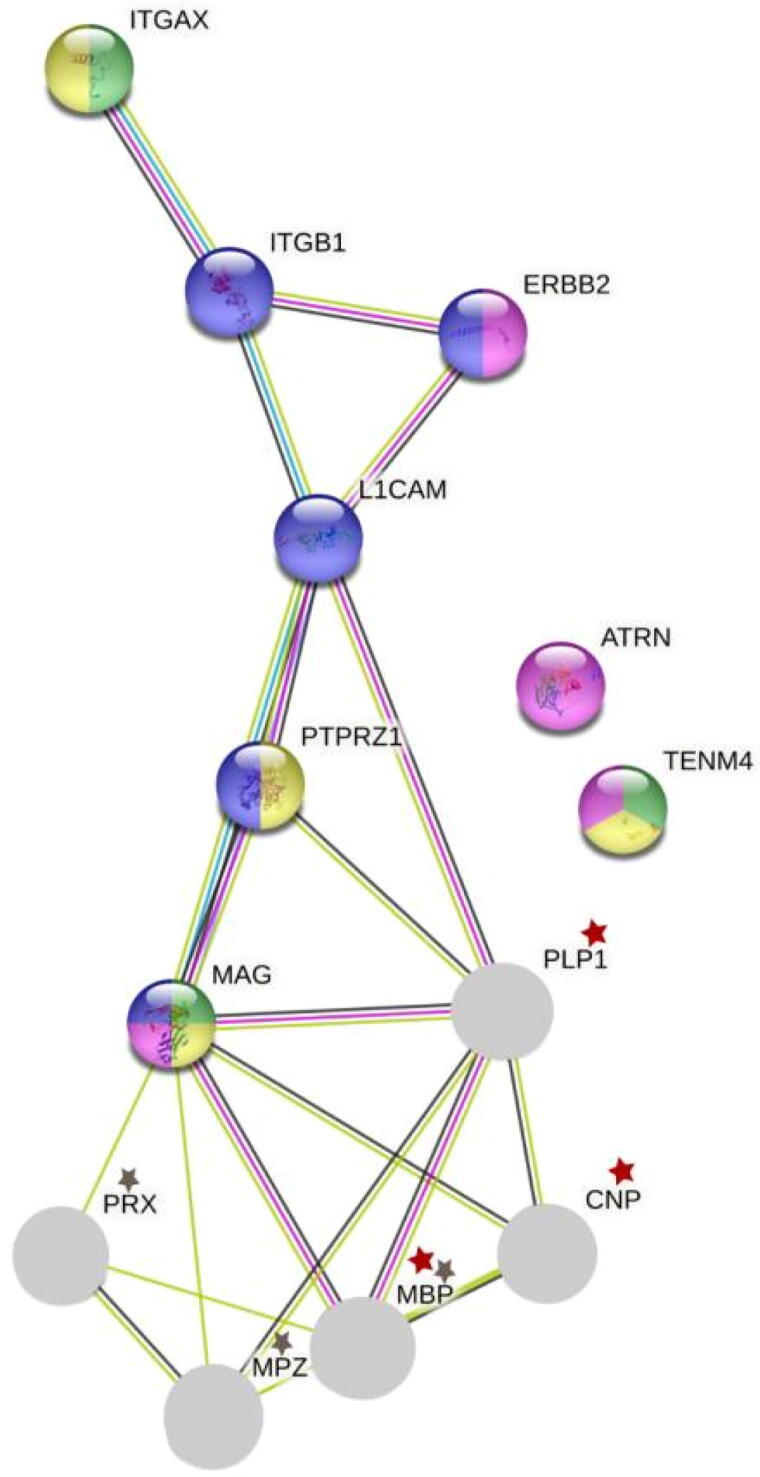 Fig. 5