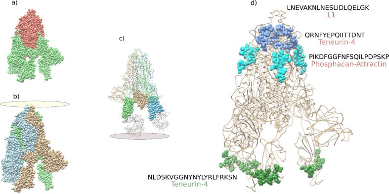 Fig. 9