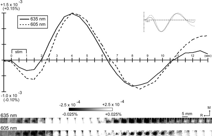 Figure 10.