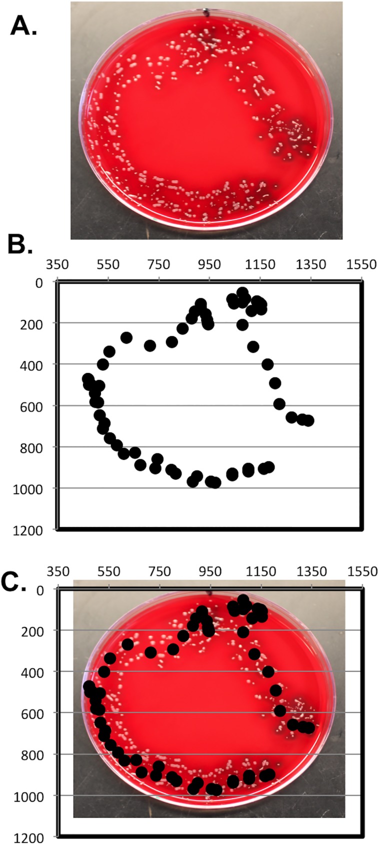 Fig 10